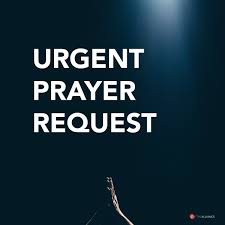 Urgent Prayer Request for Jan Morgan: She’s in the United States Emergency Room After a Fall – Please Pray